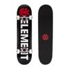Element Popsicle Skateboard Blazin 31" Standard Skateboard with 5" Aluminum Trucks, 9-Layer NE Maple Deck - Ideal for Kids, Teens, and Adults of All Experience Levels view 1