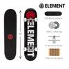 Element Popsicle Skateboard Blazin 31" Standard Skateboard with 5" Aluminum Trucks, 9-Layer NE Maple Deck - Ideal for Kids, Teens, and Adults of All Experience Levels view 2