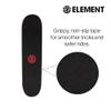 Element Popsicle Skateboard Blazin 31" Standard Skateboard with 5" Aluminum Trucks, 9-Layer NE Maple Deck - Ideal for Kids, Teens, and Adults of All Experience Levels view 3