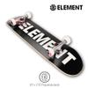 Element Popsicle Skateboard Blazin 31" Standard Skateboard with 5" Aluminum Trucks, 9-Layer NE Maple Deck - Ideal for Kids, Teens, and Adults of All Experience Levels view 4