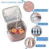 BABEYER Breastmilk Cooler Bag with Ice Pack view 4
