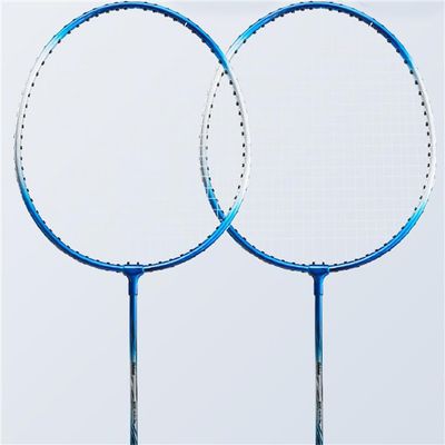 JOSWAY Badminton Racket Set, Including 2 Rackets, 2 Feather Birdies, 1 Carrying Bag - Ideal for Training and Sports (Blue&Silver)