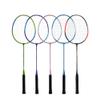JOSWAY Badminton Racket Set, Including 2 Rackets, 2 Feather Birdies, 1 Carrying Bag - Ideal for Training and Sports (Blue&Silver) view 3