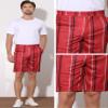 Lars Amadeus Red Striped Dress Shorts for Men's Regular Fit Lightweight Business Chino Short Pants 36 view 4