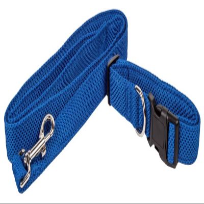 212 Main Aero Mesh 2-in-1 Dual Sided Comfortable & Breathable Adjustable Mesh Dog Leash-Collar - Blue - Large