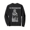 American Bully XL Collar Plush Sayings Bully Pitbull Sweatshirt view 1