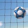 Megagreen 30FT X 10FT Heavy Duty Ball Stop Net System with Wheels - Movable High Impact Sports Practice Barrier Net view 3