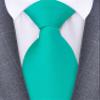 Branduce Aqua Tie for Men Wedding Business Premium Silk 63'' Extra Long Necktie (TA10-33) view 2