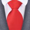 Branduce Red Ties for Men Wedding Tuxedo Business 63'' Extra Long Necktie Solid Silk Woven Tie (TA10-01) view 2