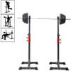 Fitness Equipment Squat Stand Dipping Station Gym Weight Bench Press Stand Adjustable Squat Rack, Home Gym Bench Stand, Multifunction Dumbbell Stand with Weight Training Equipment for Fitness Training view 2