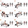 5 in 1 Weight Bench for Arm Leg Back Abs Pectoral Muscle, Backrest Angle Adjustable, Bench Press Set with Barbell Rack Max Weight Bearing 600Lbs view 4