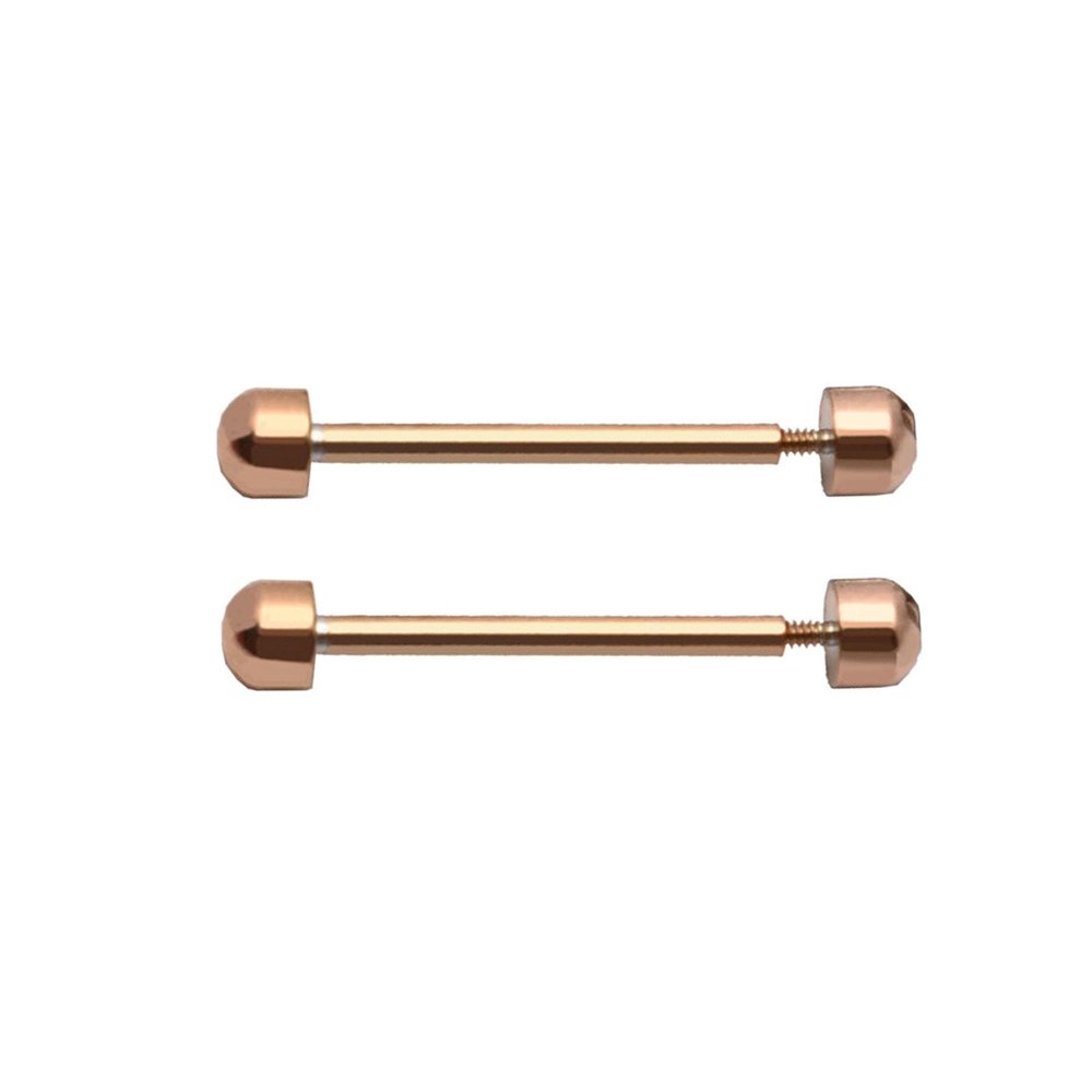 1 Pair Watch Band Screw Pins Kit by Brand - Smart Watch & Watch Lugs Size 16mm, 18mm, 20mm, 22mm - Repair Accessories - Friction Tube, Clasp, Buckle, Link Band & Spring Bar