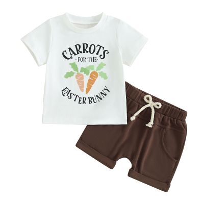 Xiaodriceee Toddler Baby Boy Easter Outfit Bunny Carrot Print Short Sleeve T-Shirt Shorts Set Baby Summer Clothes (A-Aubum, 18-24 Months)