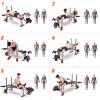 Standard Weight-Bench, Adjustable Workout Benches, Benches Press Set with Preacher Curl Pad and Leg Developer for Home Gym Full-Body Workout, 800lbs Black view 3