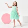 Miipat Baby Girls Tutu Dress Ruffle Flower Toddler Tulle Sleeveless Princess Party SundressMintGreen3-4T view 2