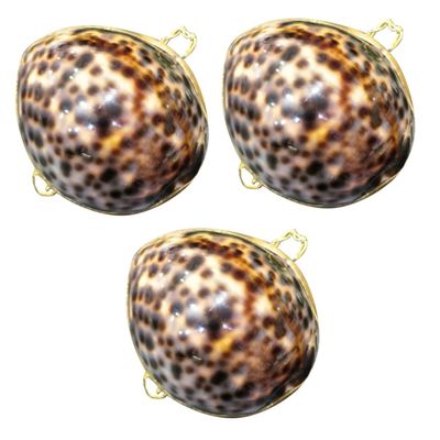 TENDYCOCO 3 Pcs Jewelry Rings Joyero Para Mujer Jewelry Boxes for Women Bling Ring Earrings Holder Shell Decor Vintage Rings Lip Gloss Holder Sea Decor Sea shell Girl Earth Tones