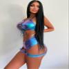 Women's Rave Metalic Bikini Set Shiny Snakeskin Print Bathing Suit Swimsuits Festivals view 4