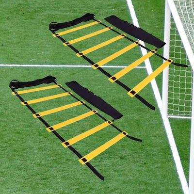 Winning Beast Lot of Two 8-12 - 16 Feet Agility Ladder Speed Training Equipment for Kids and Adults with Carrying Bag