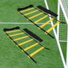 Winning Beast Lot of Two 8-12 - 16 Feet Agility Ladder Speed Training Equipment for Kids and Adults with Carrying Bag view 1