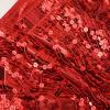 Generic Belly Dance Hip Scarf Sequin Tassel Skirt Wrap Sparkly Rave Costume for Women Belt Dance Festival Performance Skirt, A02_red view 3