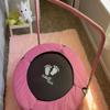 RAVS 36 inch Indoor Kids Trampoline for Toddler, Thicken Safety Pad, Updated Full Foam Covered Handle, Foldable Small Rebounder for Children Ages 1-6, Easy Quick Setup Jumping Playset, Pink view 4