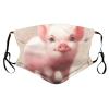 Reusable Cloth Face Masks with 2 Filters Cute-Little-Piggy Washable Face Covering Small Black view 1
