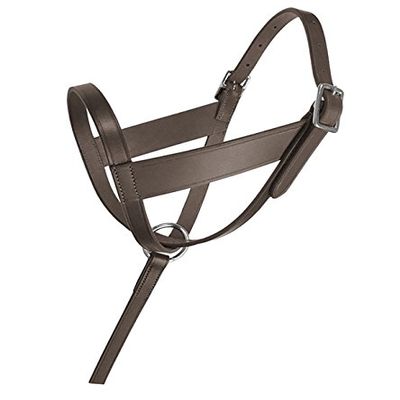 212 Main Lexington Leather Foal Halter