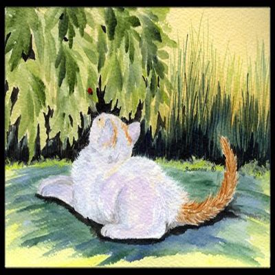 212 Main Cat Indoor Or Outdoor Doormat - 24 x 36 in.