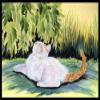 212 Main Cat Indoor Or Outdoor Doormat - 24 x 36 in.