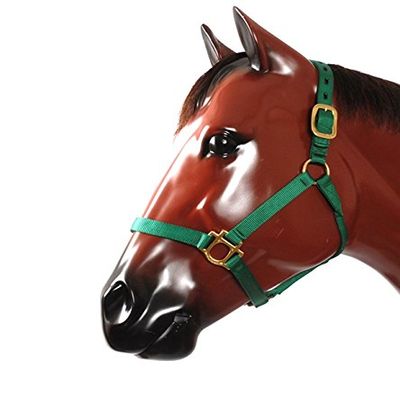 212 Main T Green Halter - 800-1100 lbs - Medium