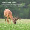 HIT LIST SEED Shade Food Plot Seeds for Deer [Annual & Perennial] - Deer Food Plot Seed Perennial - Deer Plot Seed Mix - Clover, Forage Brassica & Ryegrass - Spring, Summer & Fall Planting - 3 lbs view 3