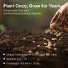 HIT LIST SEED Shade Food Plot Seeds for Deer [Annual & Perennial] - Deer Food Plot Seed Perennial - Deer Plot Seed Mix - Clover, Forage Brassica & Ryegrass - Spring, Summer & Fall Planting - 3 lbs view 4