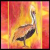 Pelican Indoor Or Outdoor Mat - 18 x 27 in. view 1