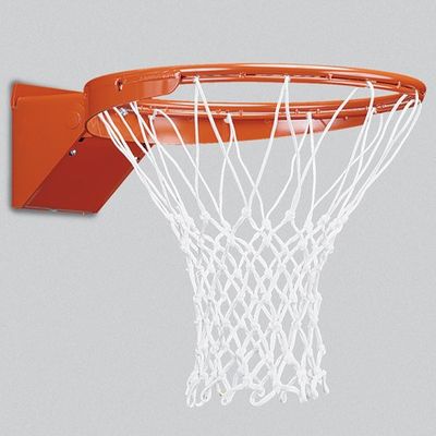 212 Main Brute Basketball Net