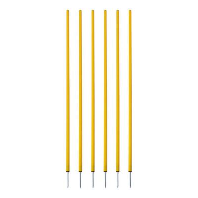 212 Main Coaching Stick Set, Yellow - Set of 6
