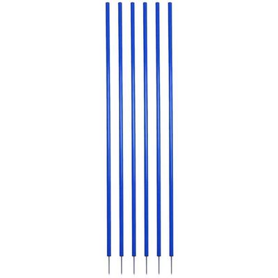 212 Main Coaching Stick Set, Royal Blue - Set of 6