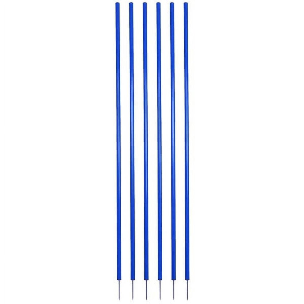 212 Main Coaching Stick Set, Royal Blue - Set of 6