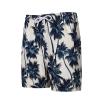Big and Tall Swim Trunks for Men Surf Mens Swim Trunks Big and Tall Swim Trunks for Men 3XL Lined Swim Trunks for Men De BaO Hombre Swim Trunks Men No Mesh Liner view 1