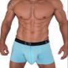 Wildmant Cotton Monster Cock 5" Inseam Boxer Brief Light Blue Medium view 2