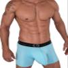 Wildmant Cotton Monster Cock 5" Inseam Boxer Brief Light Blue Medium view 3