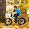 Ecarpat 20x4 Inch Fat Tire Mountain Bike,Dual Disc Brakes Suspension Fork, 7-Speed Boys Girls Mountain Bikes, All Terrain Kids Mountain Bikes for Boys and Girls 8-15 Years Old view 2
