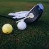 Baluue Golf Alignment Rod Training Tool High Flexibility Practice Stick for Swing Aiming and Control Essential Golf Instructor Aid for Beginners and Pros view 2