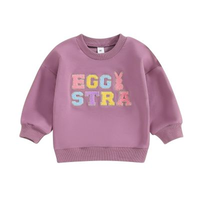 YINGISFITM Toddler Baby Girl Boy Easter Outfit Bunny Shirt Embroidery Long Sleeve Crewneck Sweatshirt Sweater Blouse Top (egg stra purple,18-24 Months)