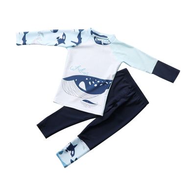 Ikevan Toddler Boys Casual Swimsuit Boys Rashguard Two Piece Swimsuits Kids Long Sleeve Sunsuits Surf Bathing (Blue, 3-4 Years)