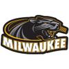 University of Wisconsin Milwaukee Primary Logo Premium 4" Die Cut Vinyl Sticker Decal for Cars Trucks Auto Windows view 2