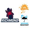 University of Richmond Primary Logo Premium 4" Die Cut Vinyl Sticker Decal for Cars Trucks Auto Windows view 3