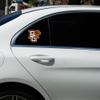 Bowling Green State University Primary Logo Premium 4" Die Cut Vinyl Sticker Decal for Cars Trucks Auto Windows view 4