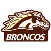 Western Michigan University Primary Logo Premium 4" Die Cut Vinyl Sticker Decal for Cars Trucks Auto Windows view 1