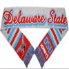 TCEShop Big Boy Delaware State Hornets S5 Knit Scarf [Red - 80" x 7"] - ID#7961 view 1