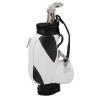 CDQL Mini Desktop Golf Souvenir Set,Mini Golf Pens Holder with Pen for Desk Decoration,Golf Souvenir Event Souvenir Golf Gift for Golfer Friends Fans (Black White)